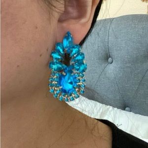 ISO! Not Selling! I’m looking for these earrings! ❤️💓